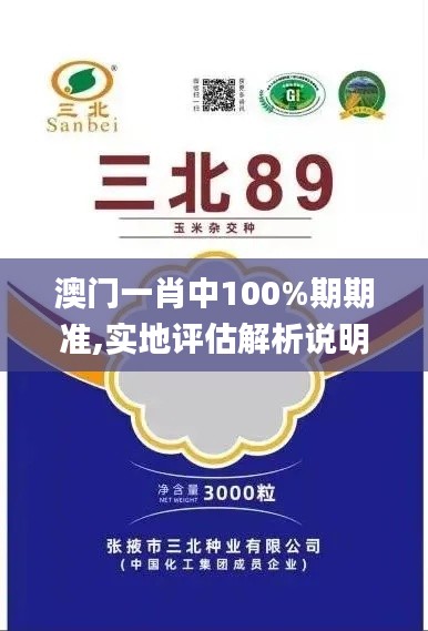 澳门一肖中100%期期准,实地评估解析说明_ios99.268