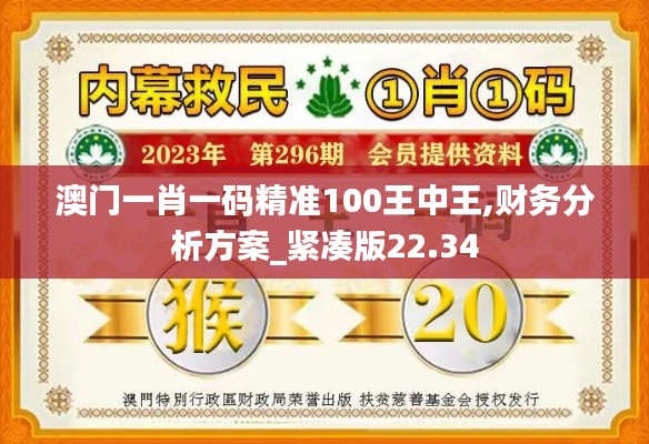 澳门一肖一码精准100王中王,财务分析方案_紧凑版22.34