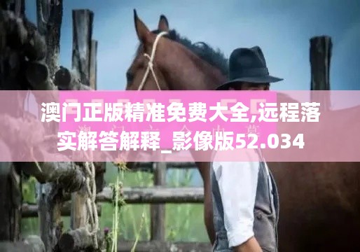 澳门正版精准免费大全,远程落实解答解释_影像版52.034