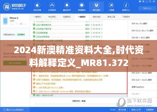 2024新澳精准资料大全,时代资料解释定义_MR81.372