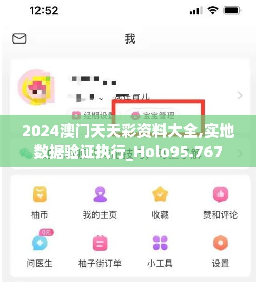 2024澳门天天彩资料大全,实地数据验证执行_Holo95.767