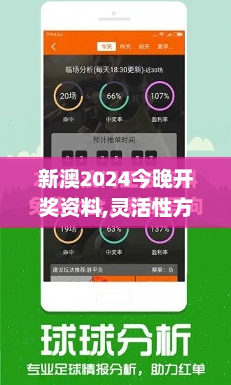 新澳2024今晚开奖资料,灵活性方案解析_专业款10.802