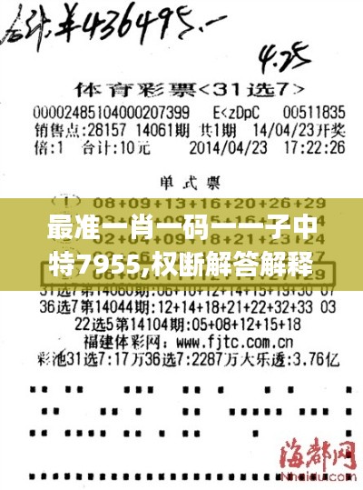 最准一肖一码一一子中特7955,权断解答解释落实_速捷版19.92