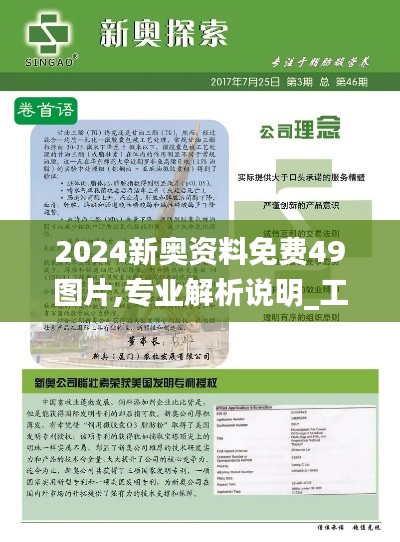 2024新奥资料免费49图片,专业解析说明_工具版51.605