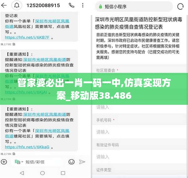 管家婆必出一肖一码一中,仿真实现方案_移动版38.486