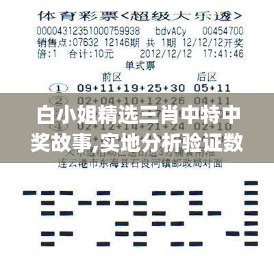 白小姐精选三肖中特中奖故事,实地分析验证数据_MT66.187