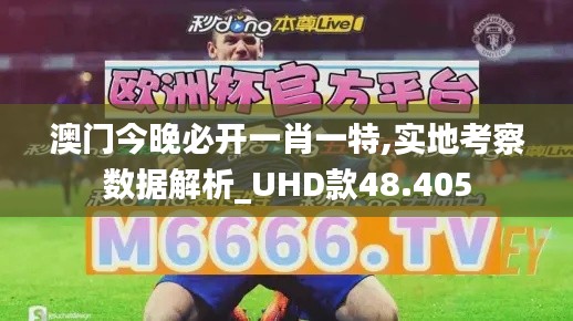 澳门今晚必开一肖一特,实地考察数据解析_UHD款48.405