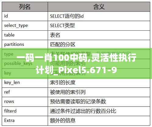 一码一肖100中码,灵活性执行计划_Pixel5.671-9