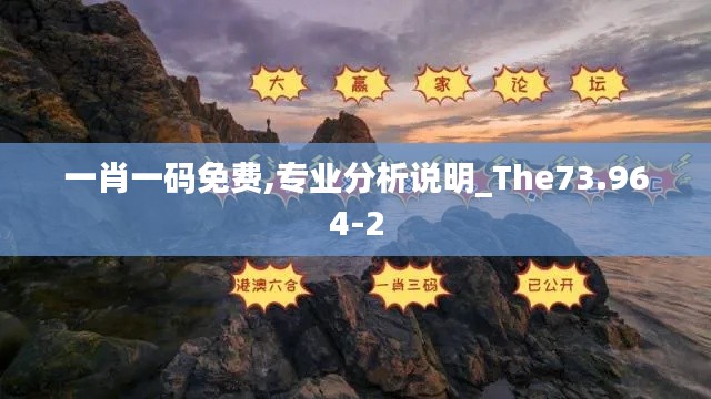 一肖一码免费,专业分析说明_The73.964-2