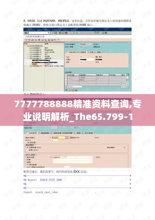 7777788888精准资料查询,专业说明解析_The65.799-1
