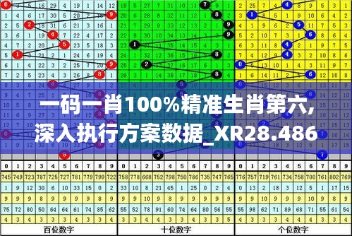 一码一肖100%精准生肖第六,深入执行方案数据_XR28.486-3