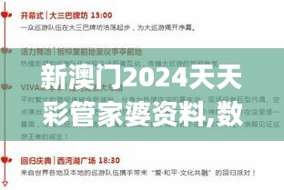 新澳门2024天天彩管家婆资料,数据引导策略解析_社交版75.935-3