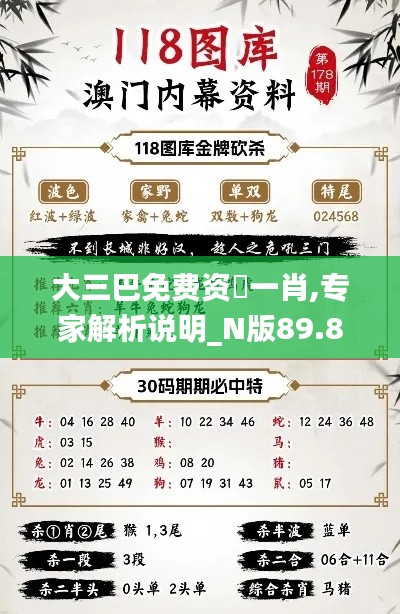 大三巴免费资枓一肖,专家解析说明_N版89.879-5