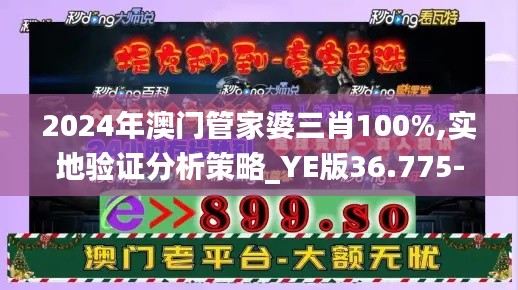 2024年澳门管家婆三肖100%,实地验证分析策略_YE版36.775-7