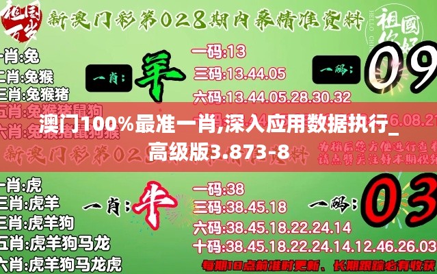 澳门100%最准一肖,深入应用数据执行_高级版3.873-8