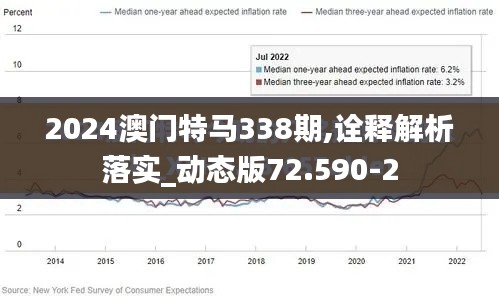 2024澳门特马338期,诠释解析落实_动态版72.590-2