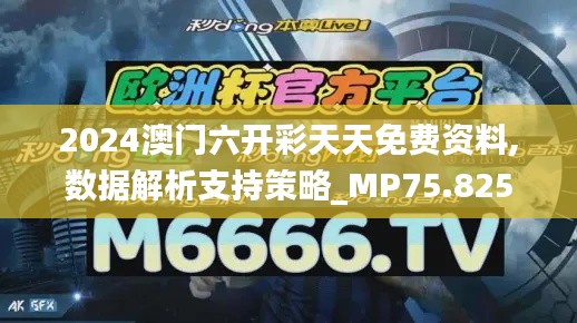 2024澳门六开彩天天免费资料,数据解析支持策略_MP75.825-5