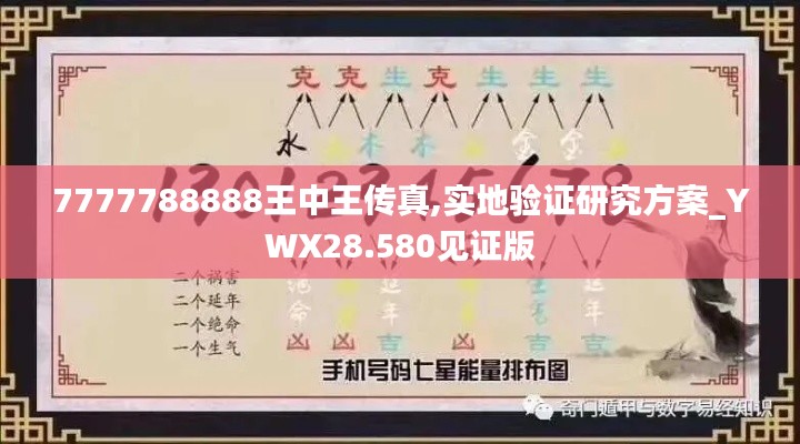 7777788888王中王传真,实地验证研究方案_YWX28.580见证版