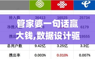 管家婆一句话赢大钱,数据设计驱动策略_D版27.137-5