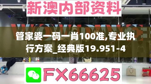 管家婆一码一肖100准,专业执行方案_经典版19.951-4