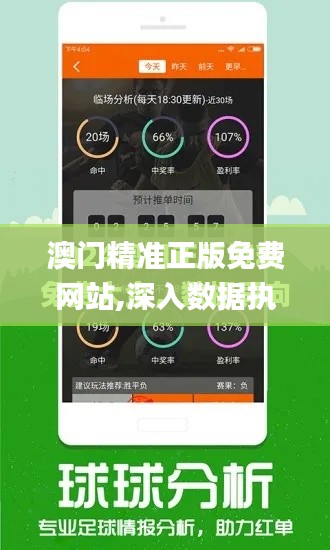 澳门精准正版免费网站,深入数据执行应用_WearOS66.761-1