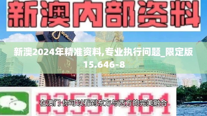 新澳2024年精准资料,专业执行问题_限定版15.646-8