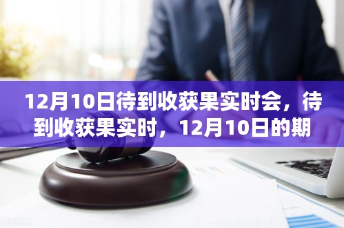 12月10日，期待与收获的果实时刻