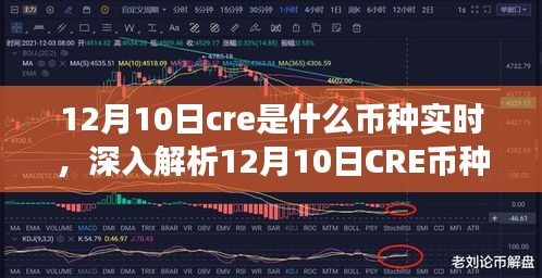 深度解析，12月10日CRE币种实时动态，特性、体验、竞争对比与目标用户群体全面解读