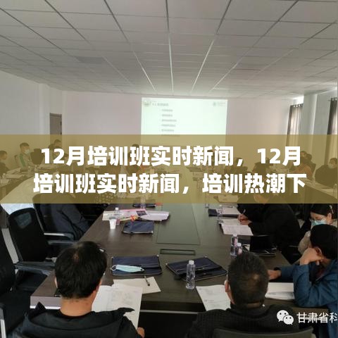 培训热潮下的深度分析与观点碰撞，12月培训班实时新闻综述