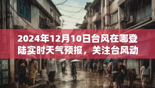 关注台风动态，2024年12月10日台风登陆实时天气预报详解