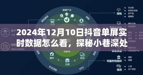 探秘抖音单屏实时数据，揭秘特色小店独享盛宴的观看指南（2024年12月10日）