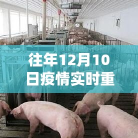 历年12月10日重庆疫情实时新增纪实，挑战与希望并存的发展之路