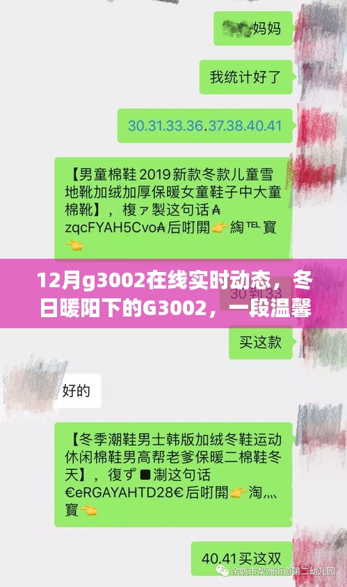 冬日暖阳下的G3002在线实时动态，温馨的在线日常故事