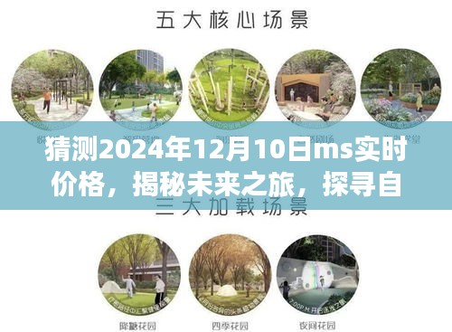 揭秘未来之旅，探寻价格之谜与心灵归宿，预测2024年12月10日MS实时价格之旅启程