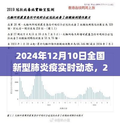 2024年12月10日全国新型肺炎疫情实时动态解析与前景展望