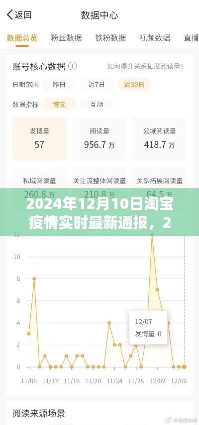 掌握最新动态，淘宝疫情实时通报查询指南（2024年）