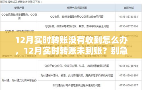 解决12月实时转账未到账问题的方法指南