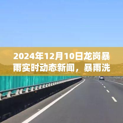 暴雨洗礼下的龙岗，变化、学习与自信的力量在闪耀（实时动态新闻）