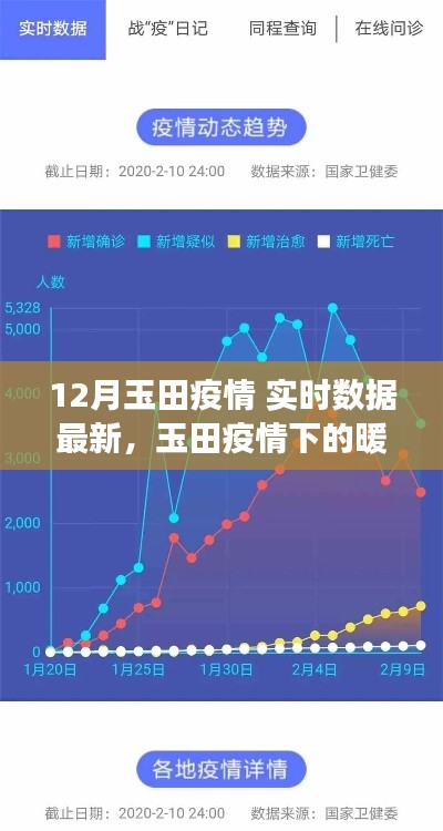 玉田疫情最新实时数据与暖心日常，数据与情感的交织