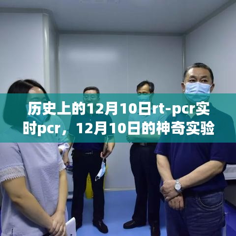 揭秘实验室的神秘面纱，RT-PCR实时PCR技术下的暖心故事与实验室之旅（暖心版）