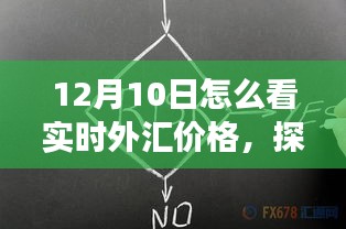 12月10日实时外汇价格解析与探索自然美景之旅，内外皆修，宁静致远。