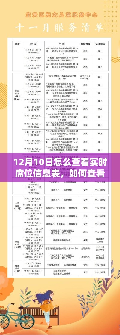 12月10日实时席位信息表查看指南，初学者与进阶用户的步骤教程