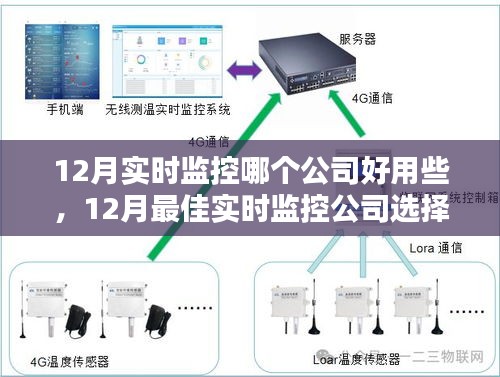 12月最佳实时监控公司选择指南，哪家公司的监控服务更出色？