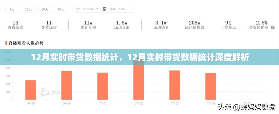 12月带货数据统计深度解析报告