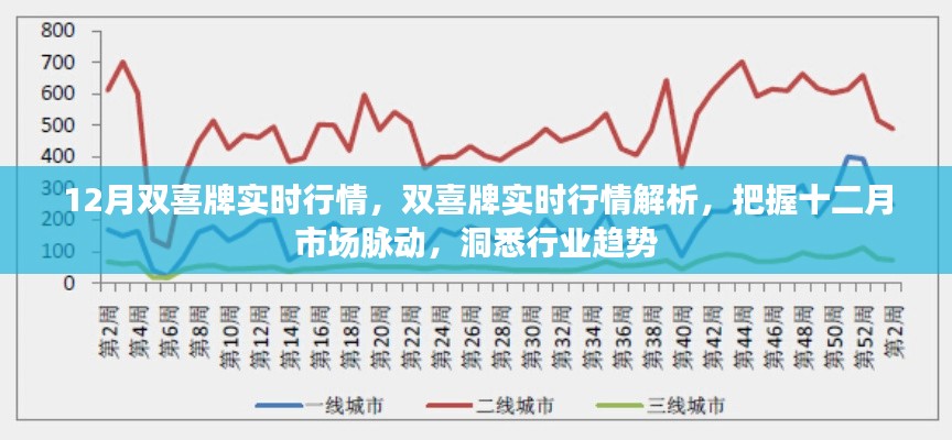 12月双喜牌实时行情解析，洞悉市场脉动与行业趋势