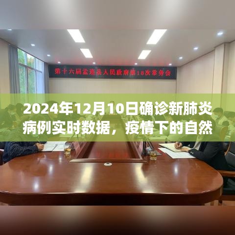 疫情下的自然探索，新肺炎病例实时数据与内心的宁静之旅 —— 2024年12月报告