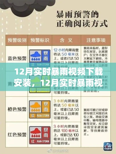 12月实时暴雨视频下载安装全攻略，零基础操作指南