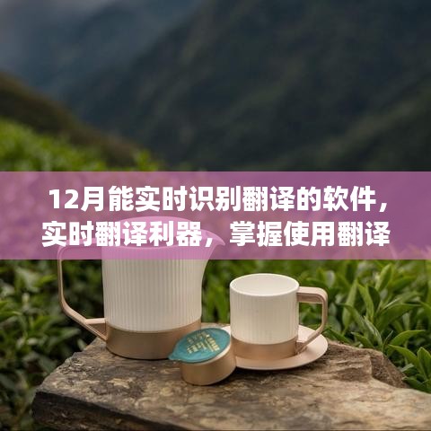 实时翻译利器，掌握高效翻译软件使用指南，助力十二月无障碍交流