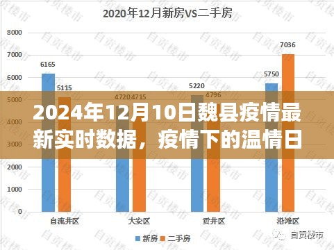 魏县疫情下的温情日常，爱与陪伴的故事（实时数据报告）