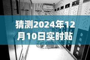 探秘小巷深处的隐藏宝藏，揭秘2024年实时贴标体验之旅的惊喜时刻（日期猜想）